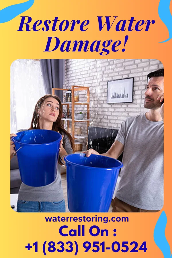 water restoration Lightning Water Mitigation Specialists Swan Lake