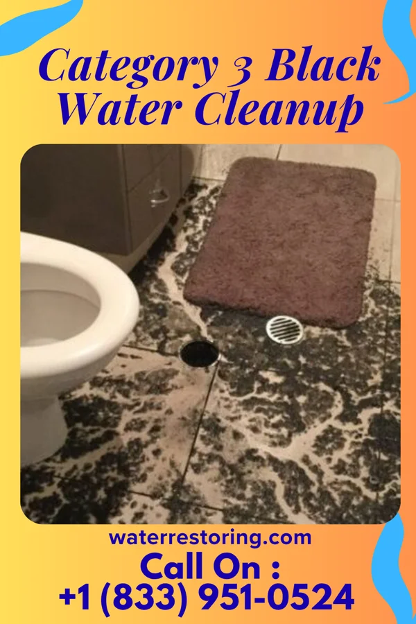 Category 3 Black Water Cleanup in Swan Lake, MT