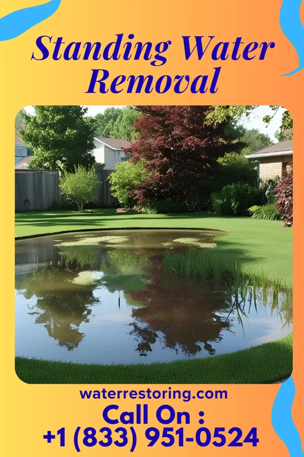 Standing Water Removal in Swan Lake, MT
